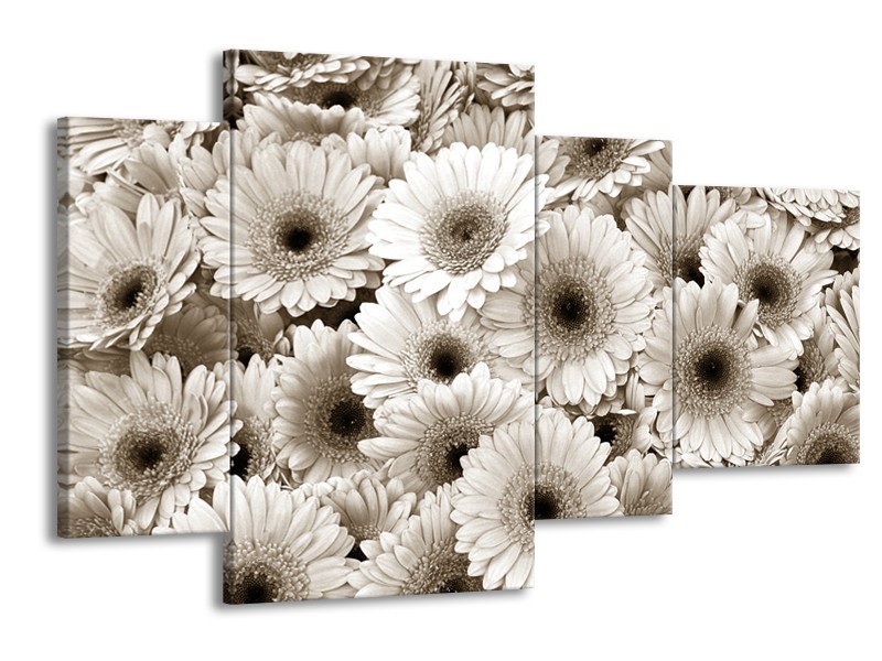 Canvas Schilderij Gerbera, Bloemen | Sepia | 120x75cm 4Luik