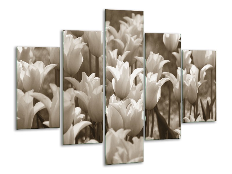 Canvas Schilderij Tulpen, Bloemen | Sepia | 100x70cm 5Luik