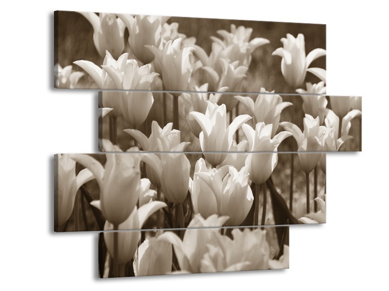 Glasschilderij Tulpen, Bloemen | Sepia | 115x85cm 4Luik