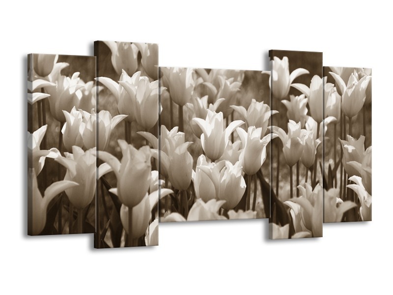 Glasschilderij Tulpen, Bloemen | Sepia | 120x65cm 5Luik