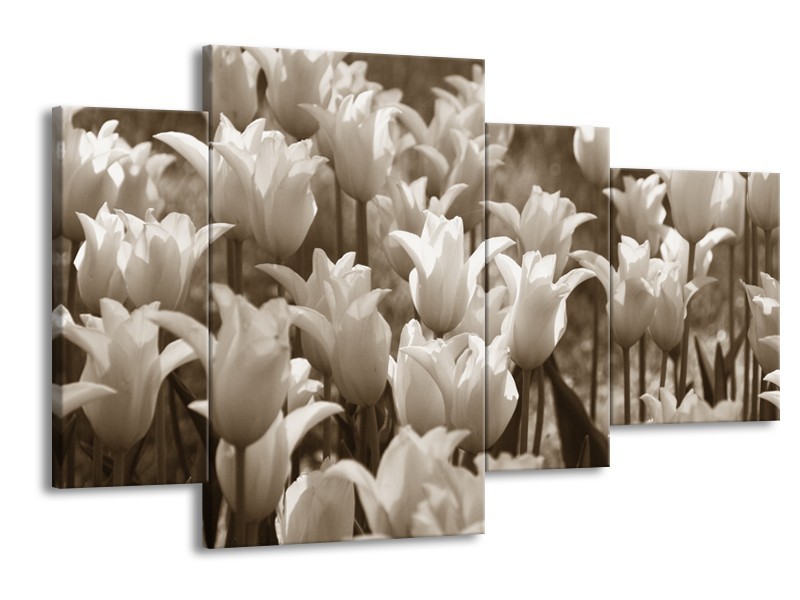 Canvas Schilderij Tulpen, Bloemen | Sepia | 120x75cm 4Luik