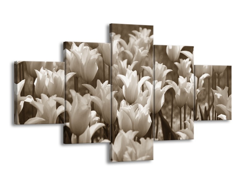 Glasschilderij Tulpen, Bloemen | Sepia | 125x70cm 5Luik