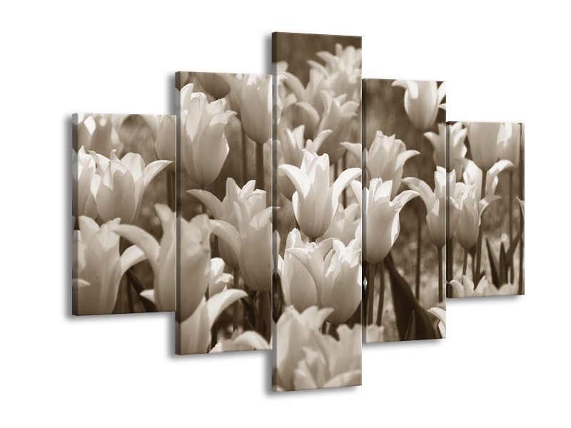 Canvas Schilderij Tulpen, Bloemen | Sepia | 150x105cm 5Luik