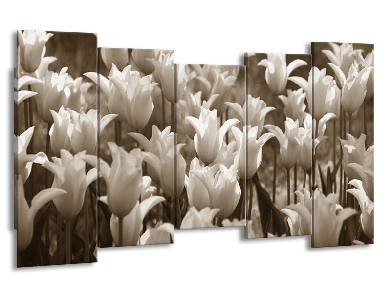 Canvas Schilderij Tulpen, Bloemen | Sepia | 150x80cm 5Luik