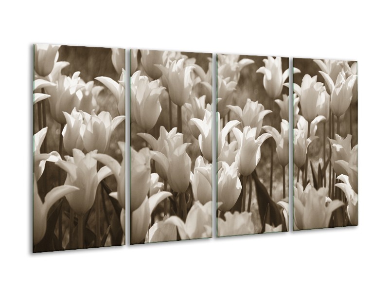 Glasschilderij Tulpen, Bloemen | Sepia | 160x80cm 4Luik