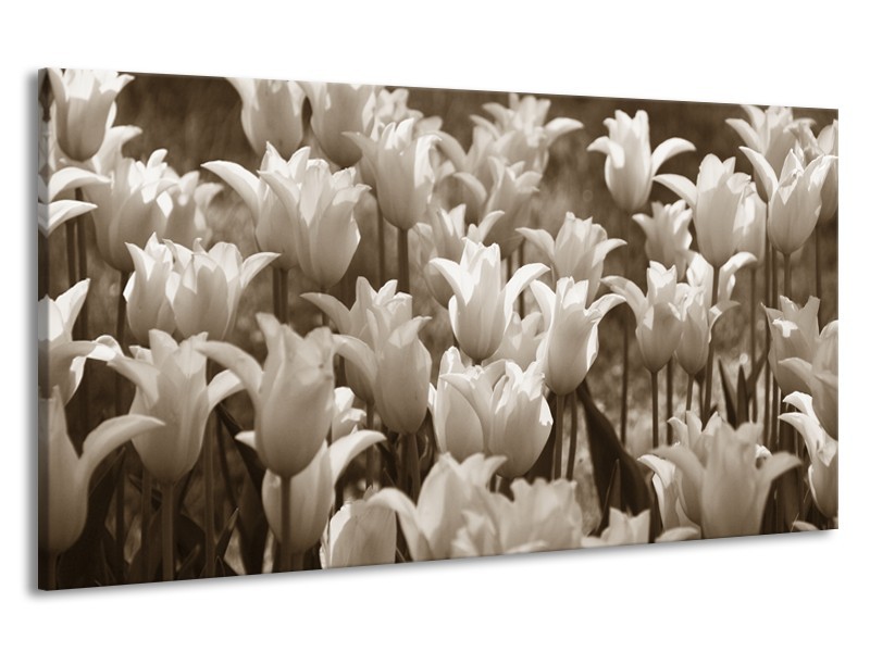Canvas Schilderij Tulpen, Bloemen | Sepia | 190x100cm 1Luik