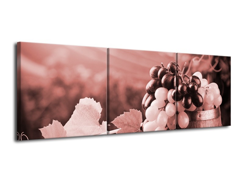 Glasschilderij Druiven, Keuken | Bruin, Rood | 120x40cm 3Luik