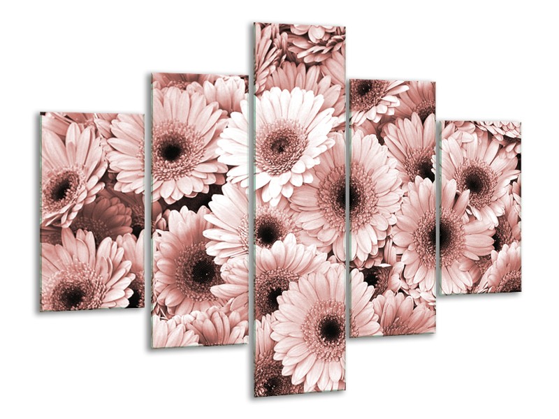 Glasschilderij Gerbera, Bloemen | Bruin, Rood | 100x70cm 5Luik