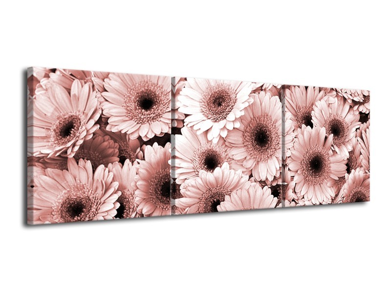 Canvas Schilderij Gerbera, Bloemen | Bruin, Rood | 120x40cm 3Luik