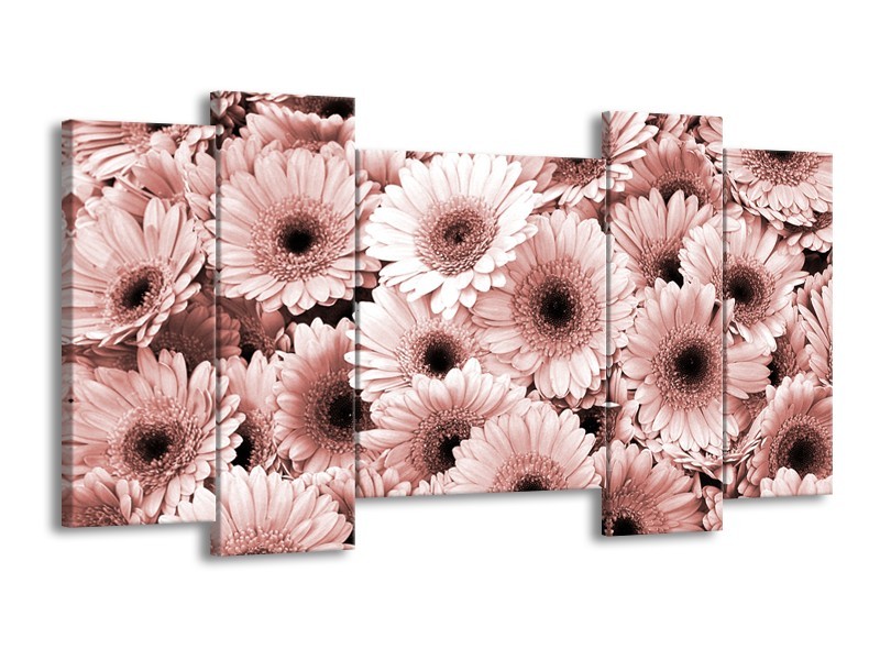 Glasschilderij Gerbera, Bloemen | Bruin, Rood | 120x65cm 5Luik