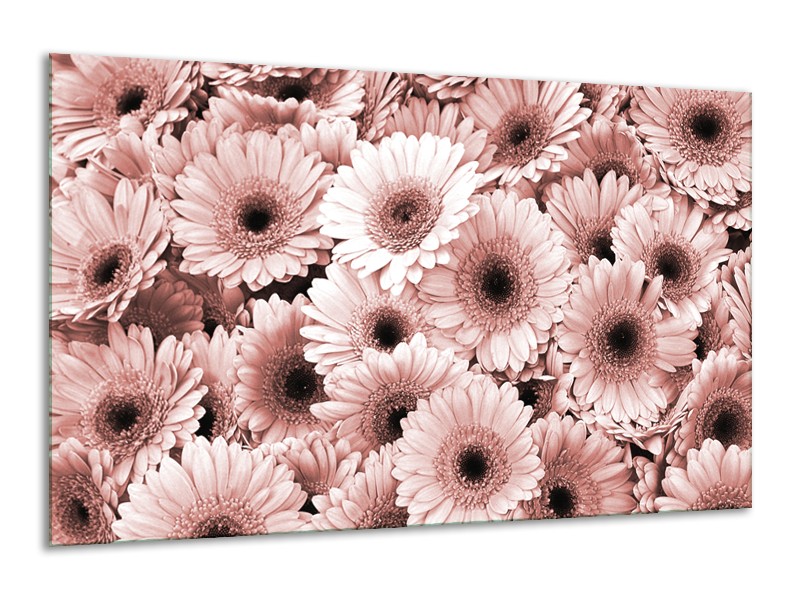 Glasschilderij Gerbera, Bloemen | Bruin, Rood | 120x70cm 1Luik