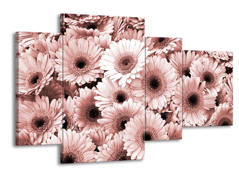 Glasschilderij Gerbera, Bloemen | Bruin, Rood | 120x75cm 4Luik