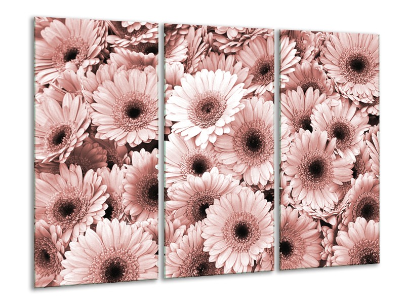 Glasschilderij Gerbera, Bloemen | Bruin, Rood | 120x80cm 3Luik