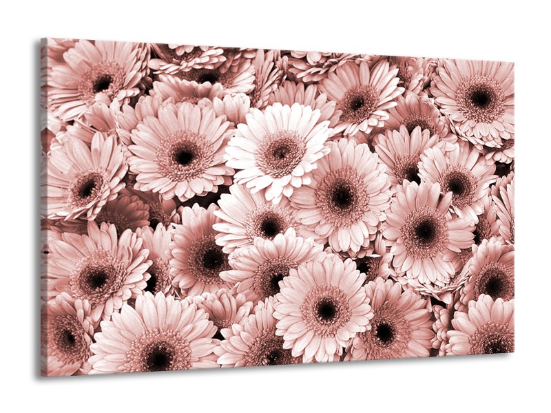 Glasschilderij Gerbera, Bloemen | Bruin, Rood | 140x90cm 1Luik