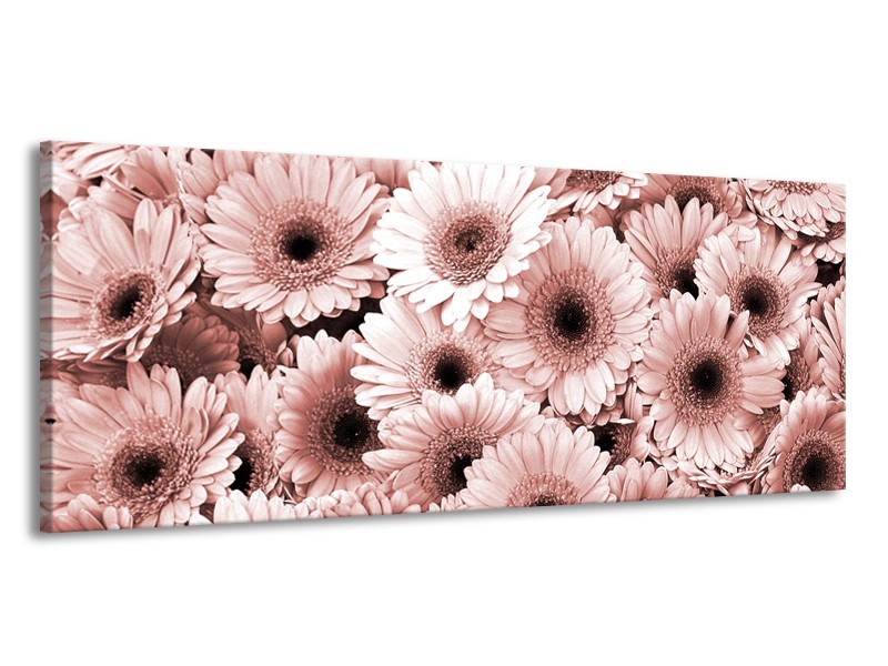 Canvas Schilderij Gerbera, Bloemen | Bruin, Rood | 145x58cm 1Luik