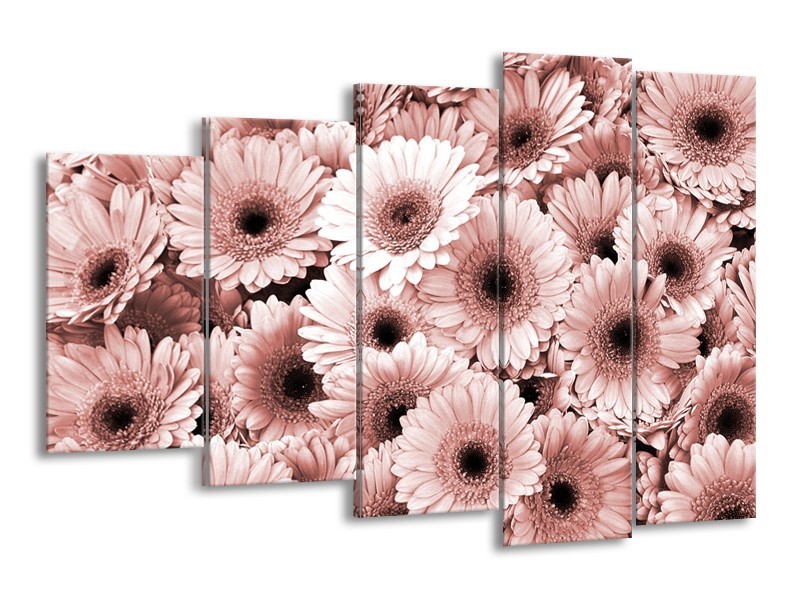 Glasschilderij Gerbera, Bloemen | Bruin, Rood | 150x100cm 5Luik