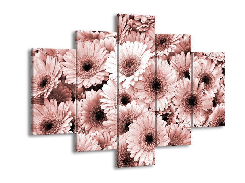 Glasschilderij Gerbera, Bloemen | Bruin, Rood | 150x105cm 5Luik