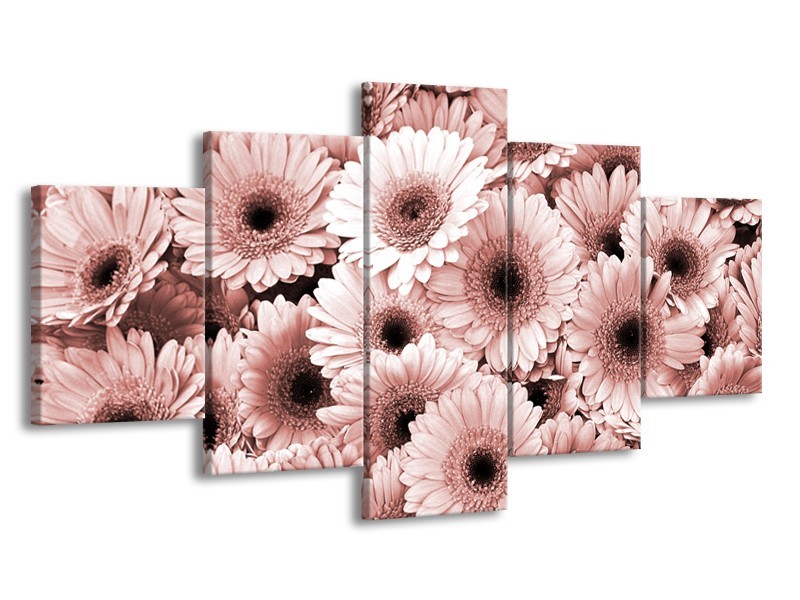 Glasschilderij Gerbera, Bloemen | Bruin, Rood | 150x80cm 5Luik