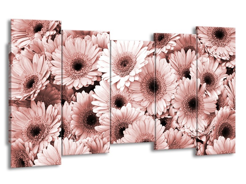 Glasschilderij Gerbera, Bloemen | Bruin, Rood | 150x80cm 5Luik