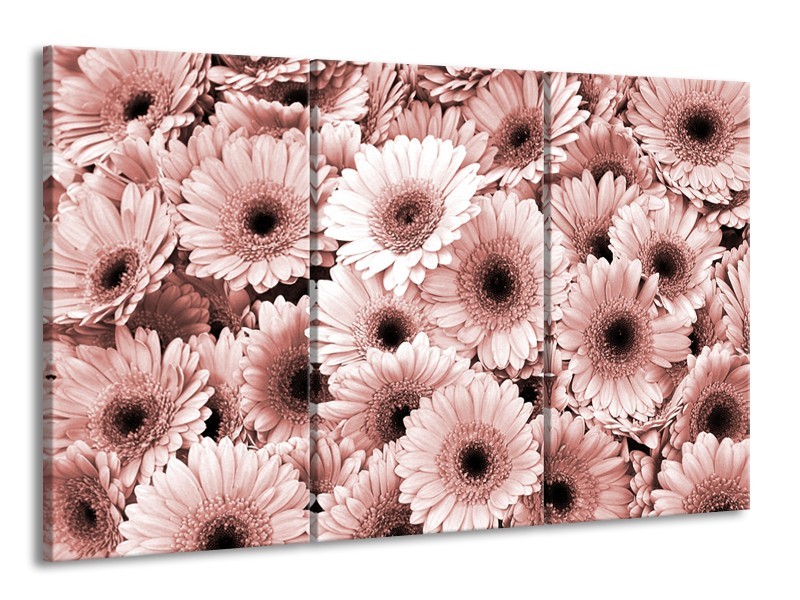 Glasschilderij Gerbera, Bloemen | Bruin, Rood | 165x100cm 3Luik