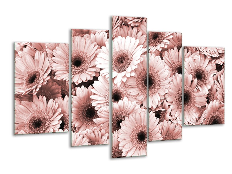 Glasschilderij Gerbera, Bloemen | Bruin, Rood | 170x100cm 5Luik