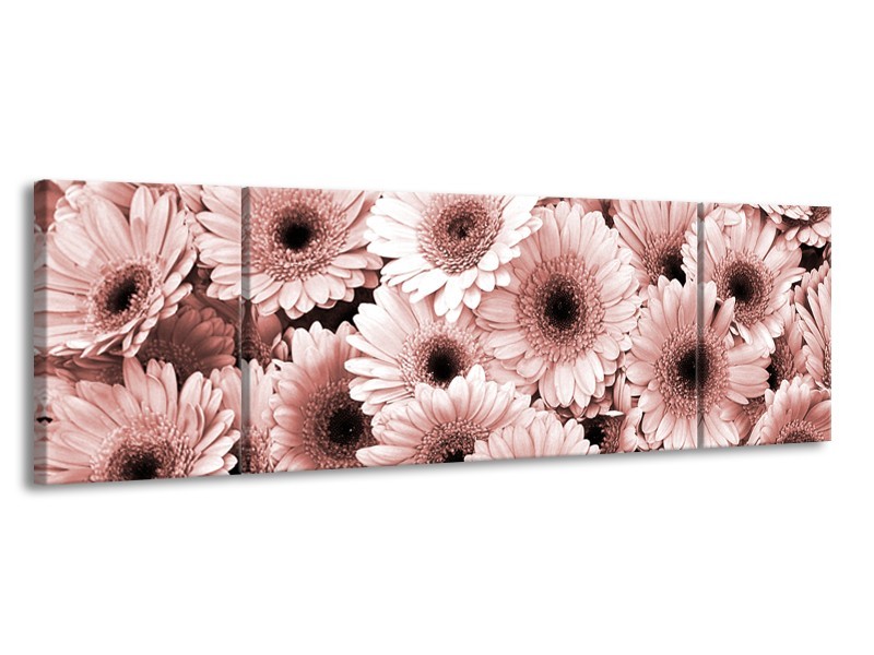 Canvas Schilderij Gerbera, Bloemen | Bruin, Rood | 170x50cm 3Luik