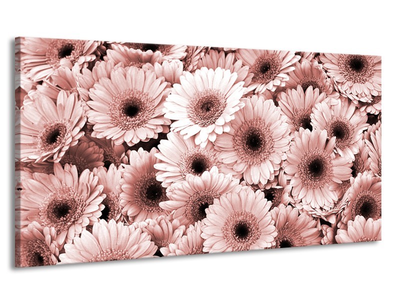 Canvas Schilderij Gerbera, Bloemen | Bruin, Rood | 170x90cm 1Luik