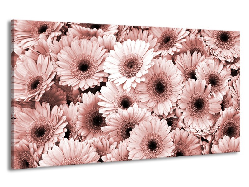 Canvas Schilderij Gerbera, Bloemen | Bruin, Rood | 190x100cm 1Luik