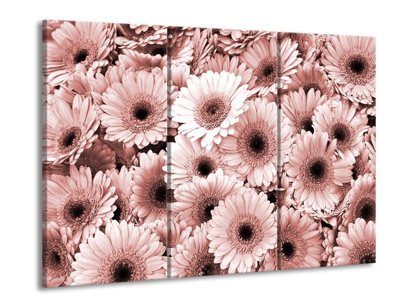 Canvas Schilderij Gerbera, Bloemen | Bruin, Rood | 60x90cm 3Luik