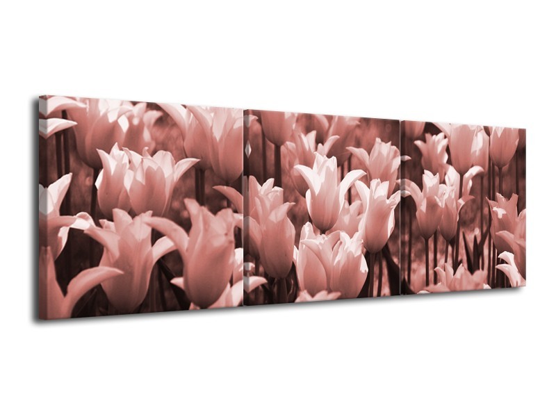 Canvas Schilderij Tulpen, Bloemen | Bruin, Rood | 120x40cm 3Luik