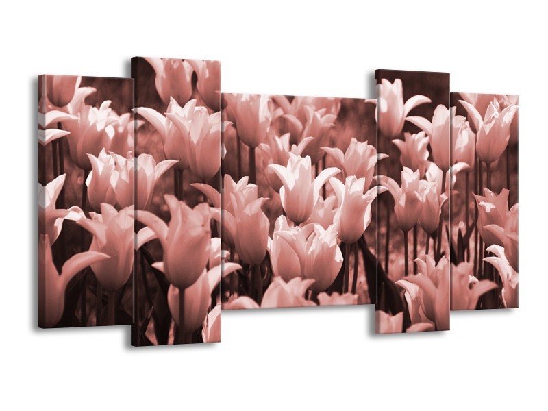 Canvas Schilderij Tulpen, Bloemen | Bruin, Rood | 120x65cm 5Luik