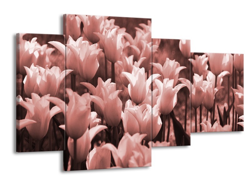 Glasschilderij Tulpen, Bloemen | Bruin, Rood | 120x75cm 4Luik