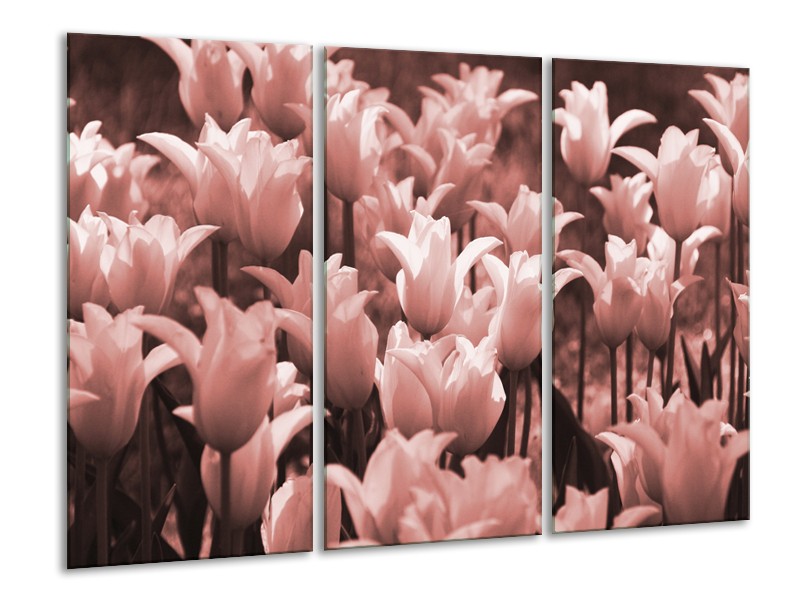 Canvas Schilderij Tulpen, Bloemen | Bruin, Rood | 120x80cm 3Luik