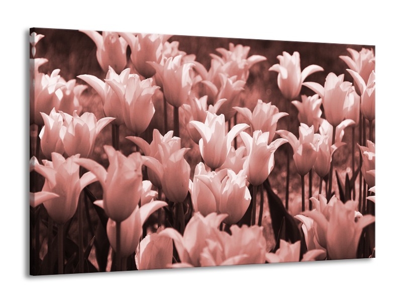 Canvas Schilderij Tulpen, Bloemen | Bruin, Rood | 140x90cm 1Luik