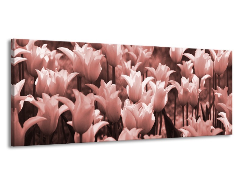 Canvas Schilderij Tulpen, Bloemen | Bruin, Rood | 145x58cm 1Luik