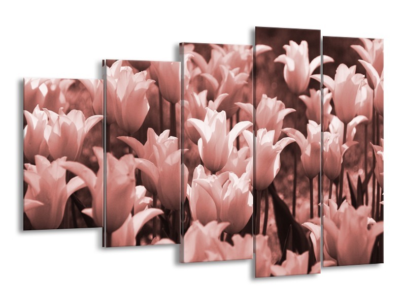 Canvas Schilderij Tulpen, Bloemen | Bruin, Rood | 150x100cm 5Luik