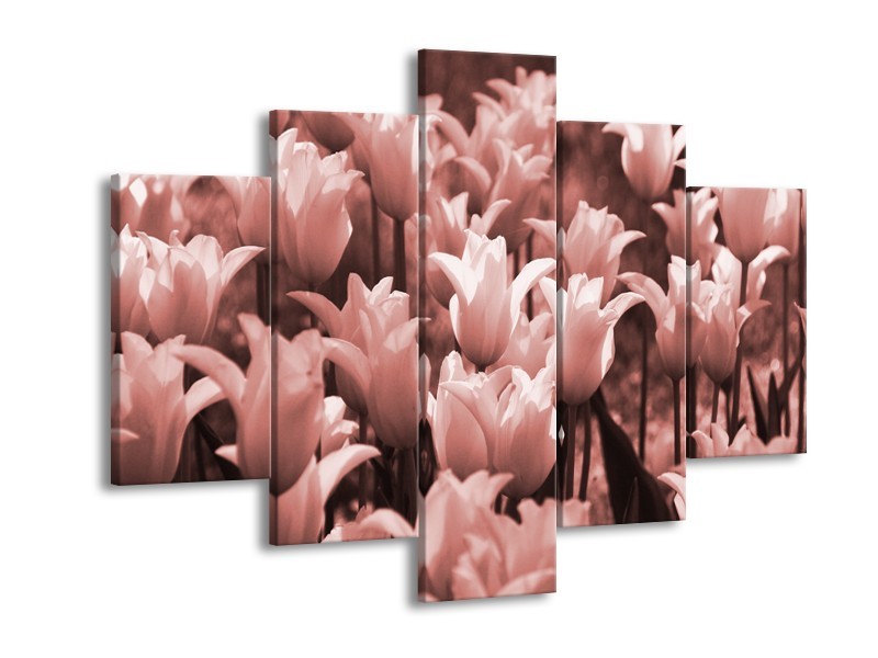 Glasschilderij Tulpen, Bloemen | Bruin, Rood | 150x105cm 5Luik