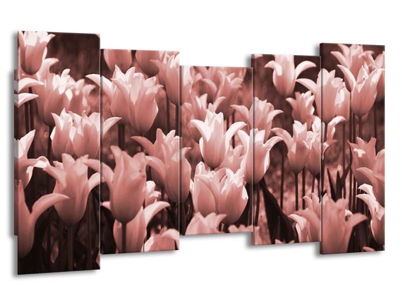 Glasschilderij Tulpen, Bloemen | Bruin, Rood | 150x80cm 5Luik