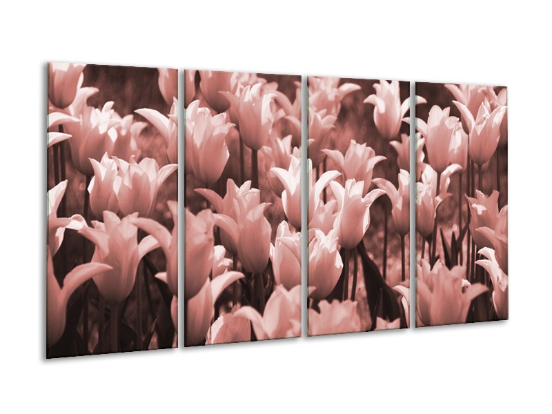 Glasschilderij Tulpen, Bloemen | Bruin, Rood | 160x80cm 4Luik