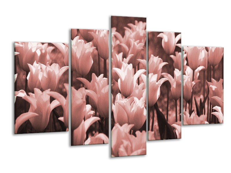 Glasschilderij Tulpen, Bloemen | Bruin, Rood | 170x100cm 5Luik