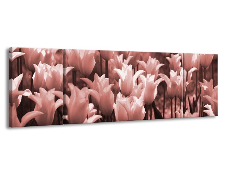 Glasschilderij Tulpen, Bloemen | Bruin, Rood | 170x50cm 3Luik