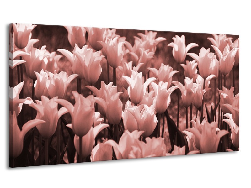 Canvas Schilderij Tulpen, Bloemen | Bruin, Rood | 170x90cm 1Luik