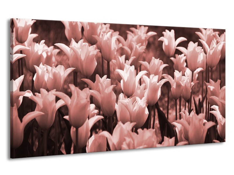 Canvas Schilderij Tulpen, Bloemen | Bruin, Rood | 190x100cm 1Luik