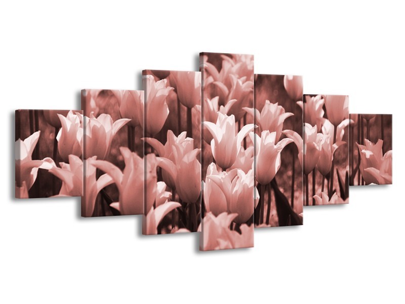 Canvas Schilderij Tulpen, Bloemen | Bruin, Rood | 210x100cm 7Luik