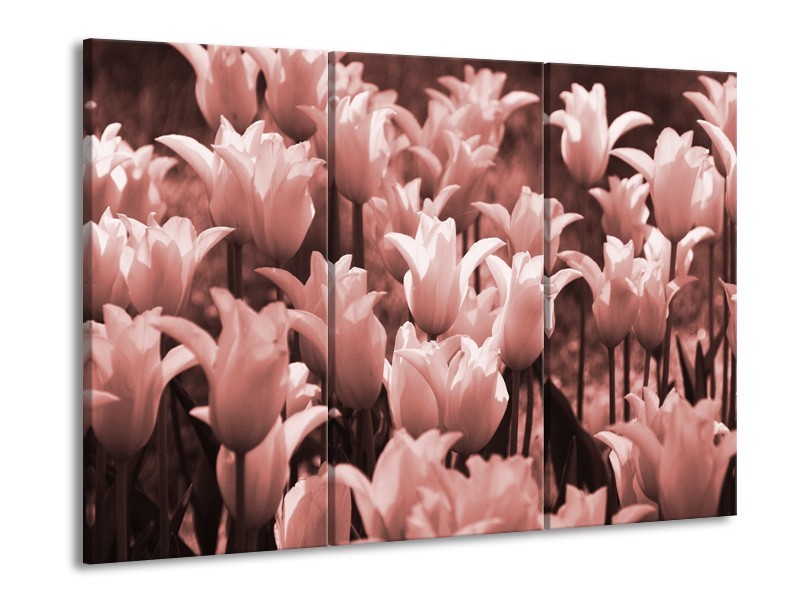 Glasschilderij Tulpen, Bloemen | Bruin, Rood | 60x90cm 3Luik