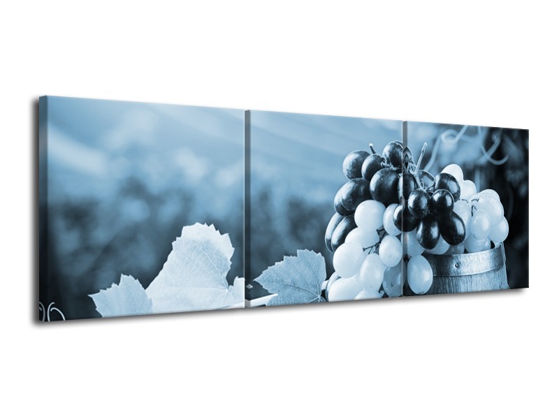 Glasschilderij Druiven, Keuken | Blauw, Grijs | 120x40cm 3Luik