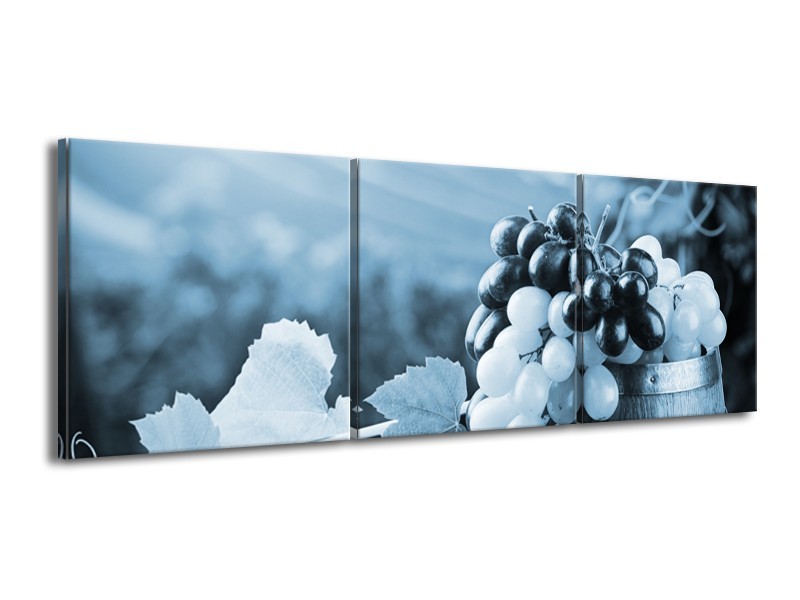 Glasschilderij Druiven, Keuken | Blauw, Grijs | 150x50cm 3Luik