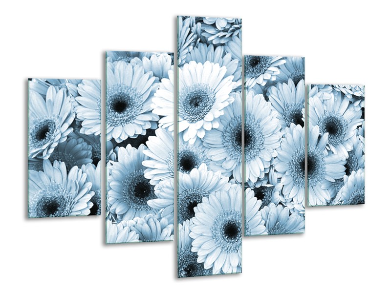 Glasschilderij Gerbera, Bloemen | Blauw, Grijs | 100x70cm 5Luik