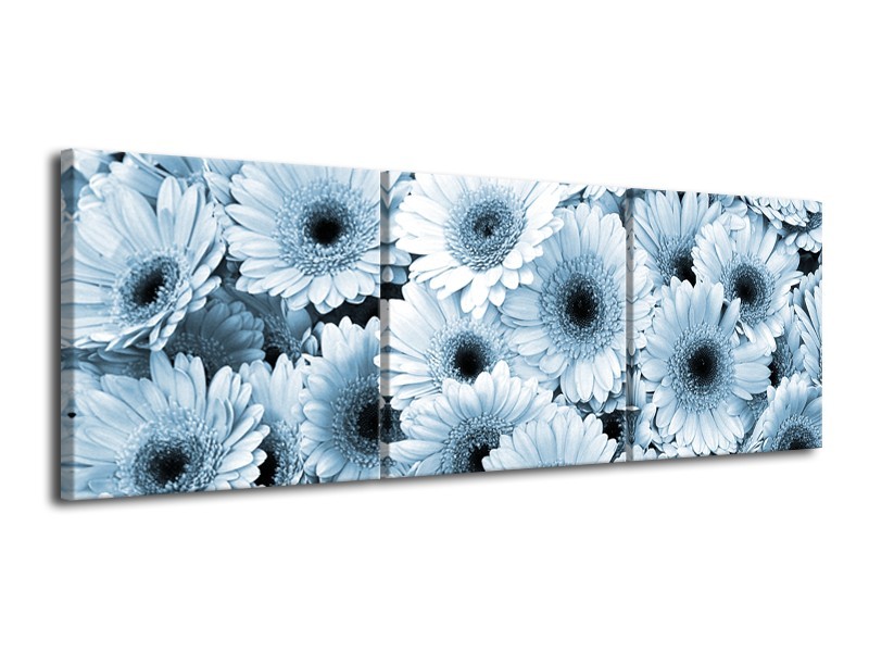 Glasschilderij Gerbera, Bloemen | Blauw, Grijs | 120x40cm 3Luik