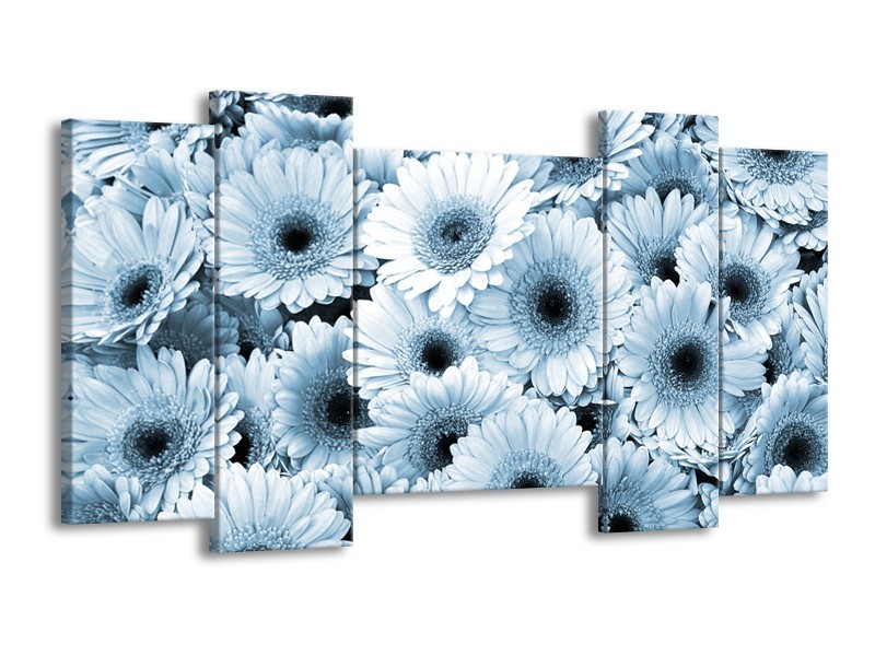 Canvas Schilderij Gerbera, Bloemen | Blauw, Grijs | 120x65cm 5Luik